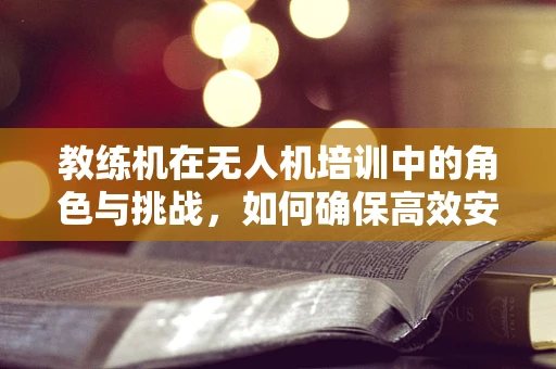 教练机在无人机培训中的角色与挑战，如何确保高效安全的教学？