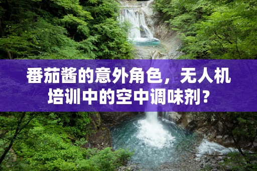 番茄酱的意外角色，无人机培训中的空中调味剂？
