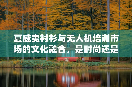 夏威夷衬衫与无人机培训市场的文化融合，是时尚还是专业？
