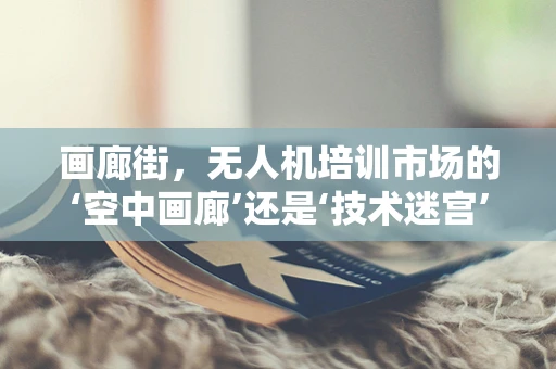 画廊街，无人机培训市场的‘空中画廊’还是‘技术迷宫’？