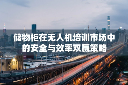 储物柜在无人机培训市场中的安全与效率双赢策略
