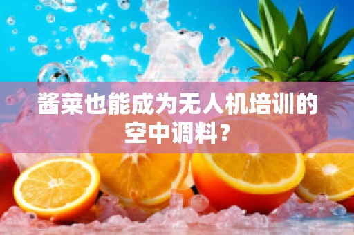 酱菜也能成为无人机培训的空中调料？