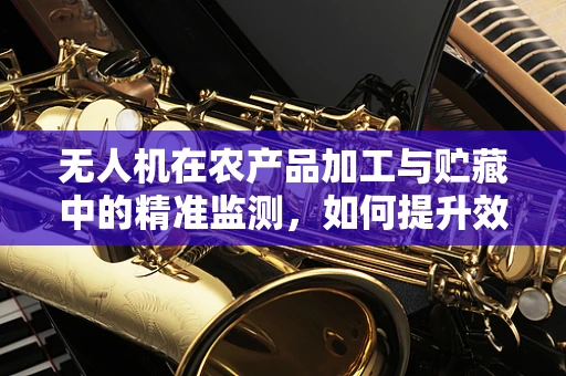 无人机在农产品加工与贮藏中的精准监测，如何提升效率与安全性？