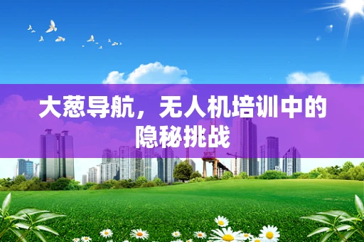 大葱导航，无人机培训中的隐秘挑战