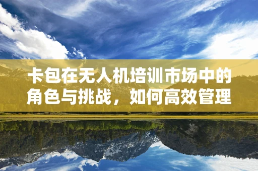 卡包在无人机培训市场中的角色与挑战，如何高效管理？