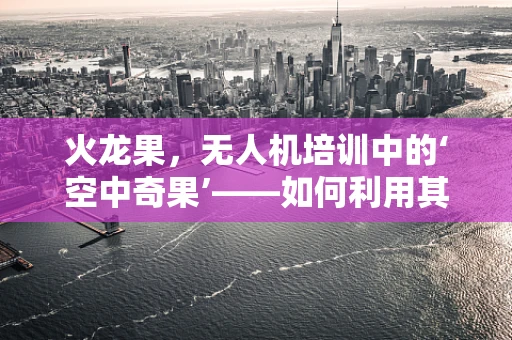 火龙果，无人机培训中的‘空中奇果’——如何利用其特性提升飞行安全？