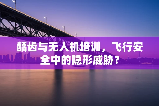 龋齿与无人机培训，飞行安全中的隐形威胁？