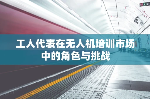 工人代表在无人机培训市场中的角色与挑战
