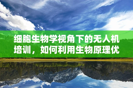 细胞生物学视角下的无人机培训，如何利用生物原理优化飞行控制？