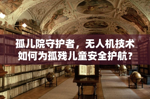 孤儿院守护者，无人机技术如何为孤残儿童安全护航？