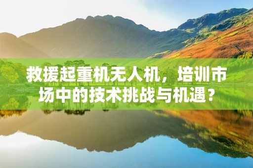 救援起重机无人机，培训市场中的技术挑战与机遇？