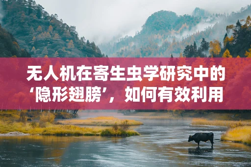 无人机在寄生虫学研究中的‘隐形翅膀’，如何有效利用以提升监测效率？