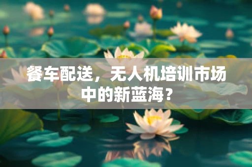 餐车配送，无人机培训市场中的新蓝海？