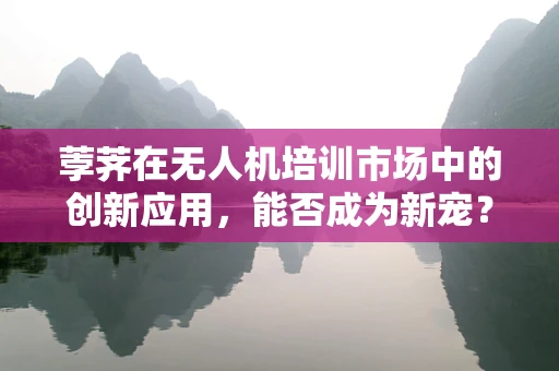 荸荠在无人机培训市场中的创新应用，能否成为新宠？