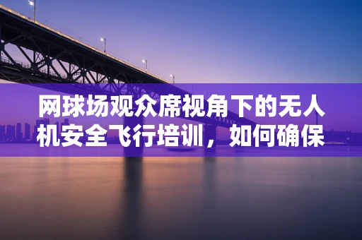 网球场观众席视角下的无人机安全飞行培训，如何确保零干扰？