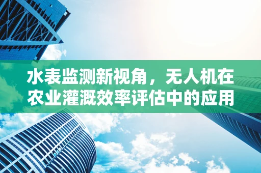 水表监测新视角，无人机在农业灌溉效率评估中的应用与挑战