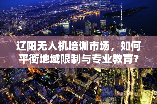 辽阳无人机培训市场，如何平衡地域限制与专业教育？