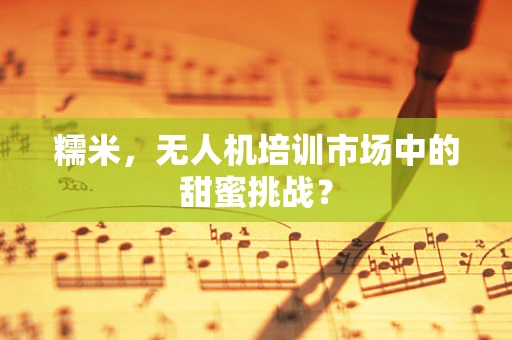 糯米，无人机培训市场中的甜蜜挑战？