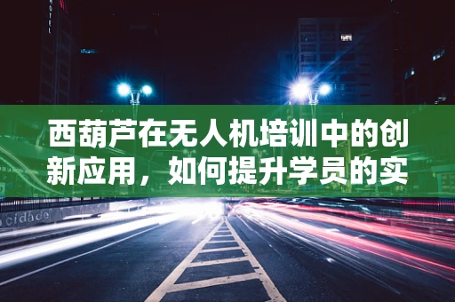西葫芦在无人机培训中的创新应用，如何提升学员的实战技能？