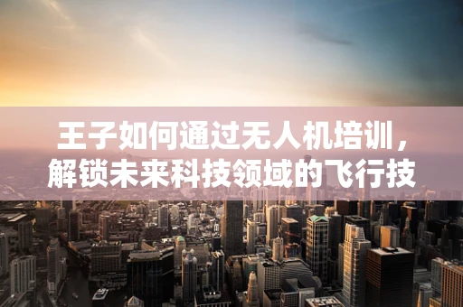 王子如何通过无人机培训，解锁未来科技领域的飞行技能？