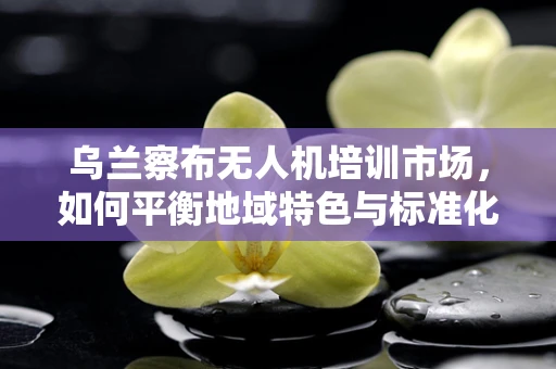 乌兰察布无人机培训市场，如何平衡地域特色与标准化教学？