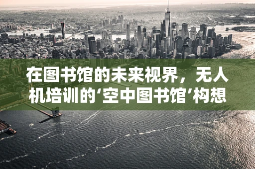 在图书馆的未来视界，无人机培训的‘空中图书馆’构想？