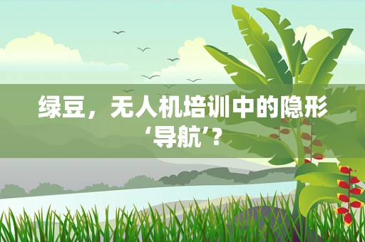 绿豆，无人机培训中的隐形‘导航’？