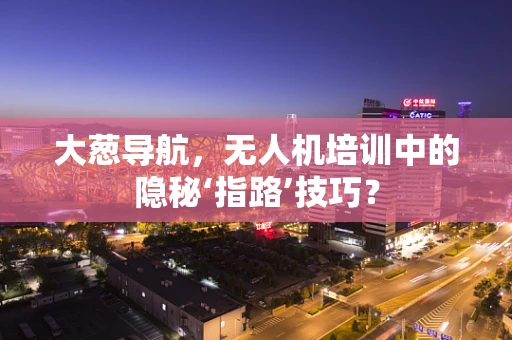 大葱导航，无人机培训中的隐秘‘指路’技巧？