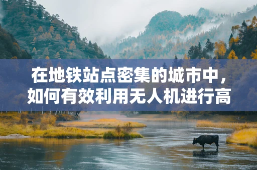在地铁站点密集的城市中，如何有效利用无人机进行高效物流配送？