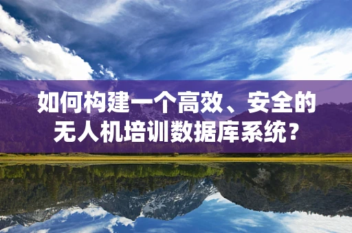 如何构建一个高效、安全的无人机培训数据库系统？