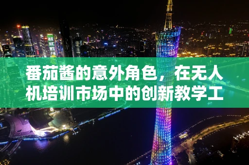 番茄酱的意外角色，在无人机培训市场中的创新教学工具？