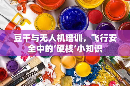 豆干与无人机培训，飞行安全中的‘硬核’小知识