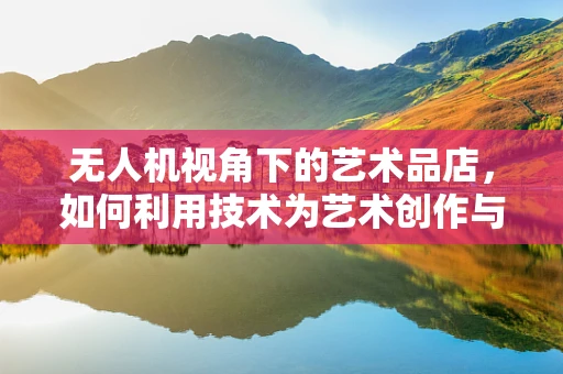 无人机视角下的艺术品店，如何利用技术为艺术创作与展示增添新维度？