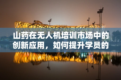 山药在无人机培训市场中的创新应用，如何提升学员的‘飞行’与‘思维’双重能力？
