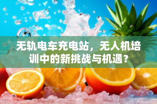无轨电车充电站，无人机培训中的新挑战与机遇？