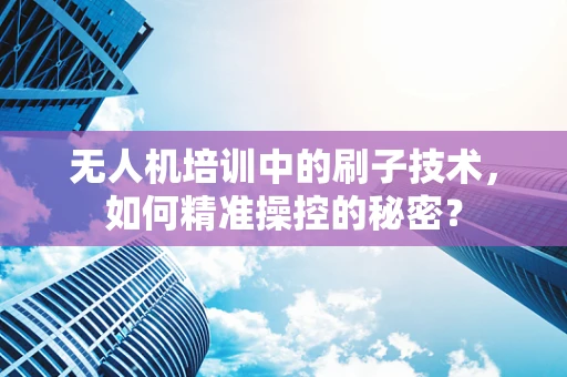 无人机培训中的刷子技术，如何精准操控的秘密？