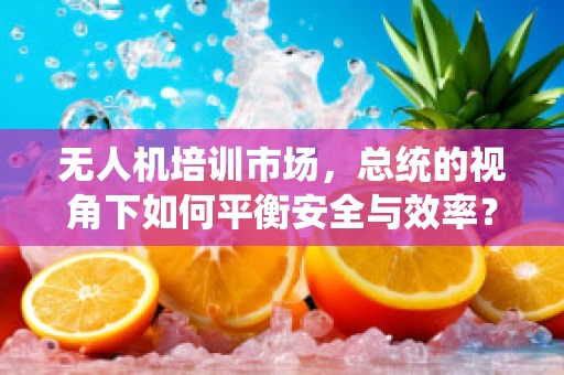 无人机培训市场，总统的视角下如何平衡安全与效率？