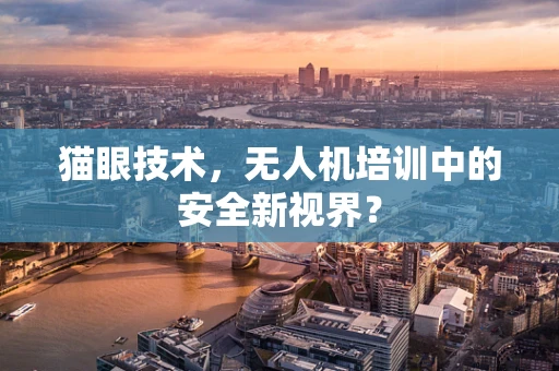 猫眼技术，无人机培训中的安全新视界？