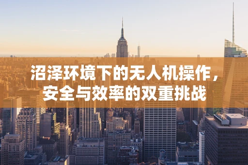 沼泽环境下的无人机操作，安全与效率的双重挑战