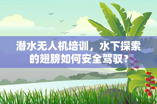 潜水无人机培训，水下探索的翅膀如何安全驾驭？