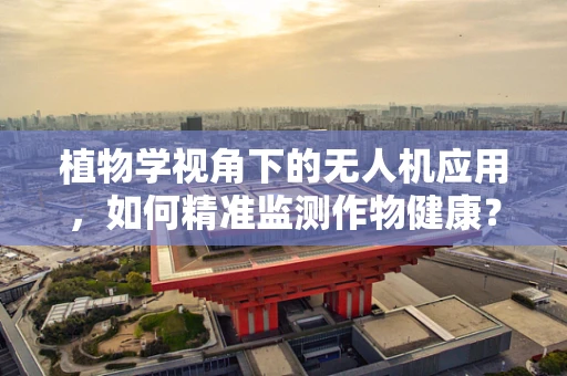 植物学视角下的无人机应用，如何精准监测作物健康？