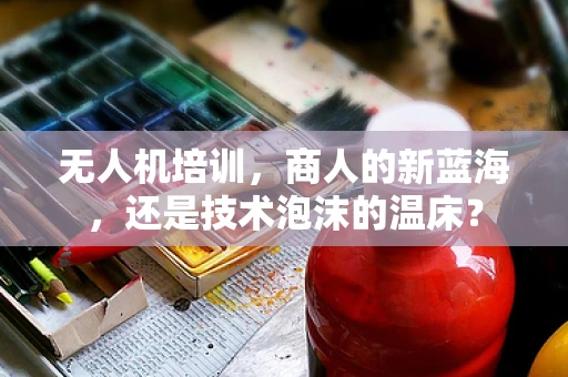 无人机培训，商人的新蓝海，还是技术泡沫的温床？