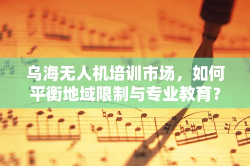 乌海无人机培训市场，如何平衡地域限制与专业教育？