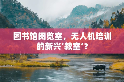 图书馆阅览室，无人机培训的新兴‘教室’？