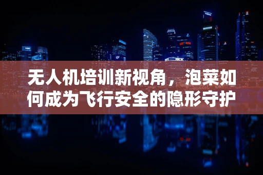 无人机培训新视角，泡菜如何成为飞行安全的隐形守护者？