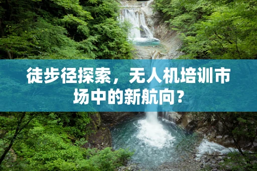 徒步径探索，无人机培训市场中的新航向？