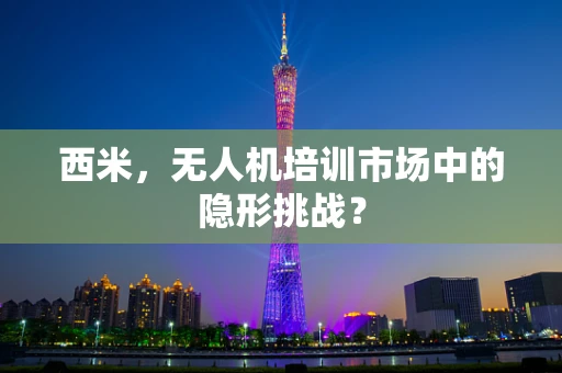 西米，无人机培训市场中的隐形挑战？