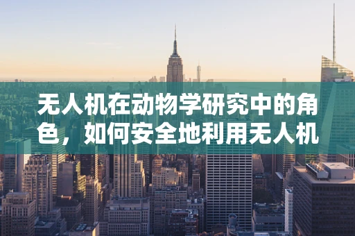 无人机在动物学研究中的角色，如何安全地利用无人机进行野生动物监测？