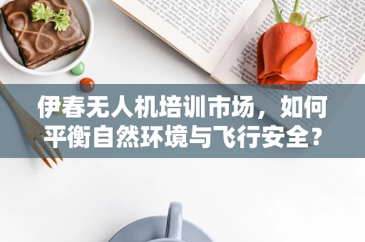 伊春无人机培训市场，如何平衡自然环境与飞行安全？