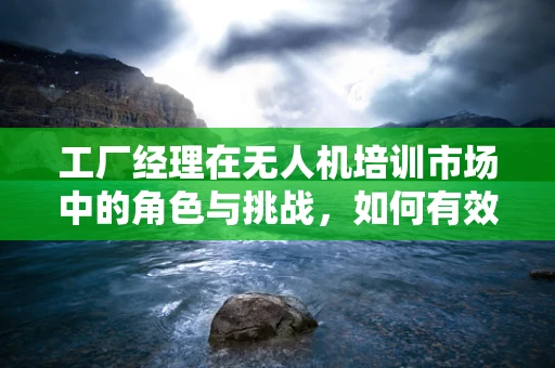 工厂经理在无人机培训市场中的角色与挑战，如何有效整合资源以提升团队效率？
